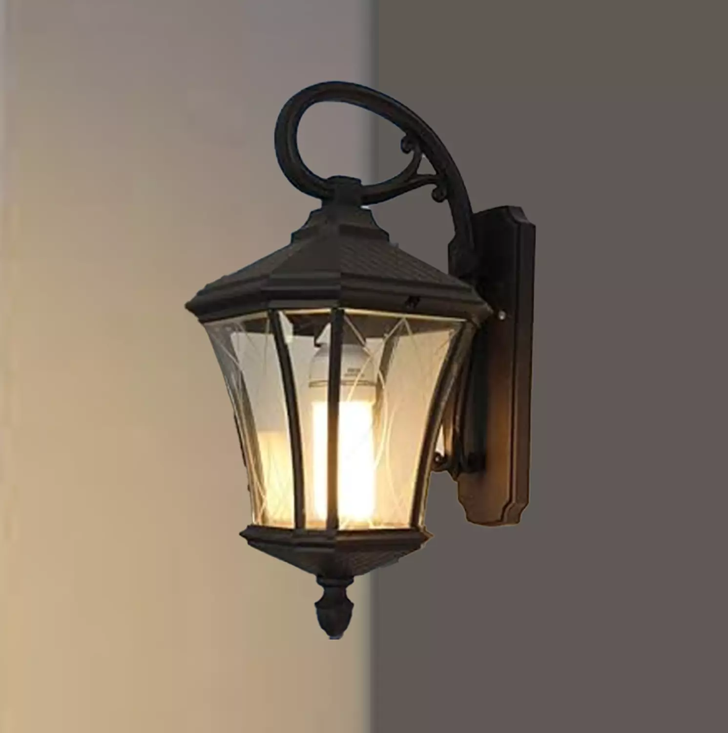 Lantern Lights 1