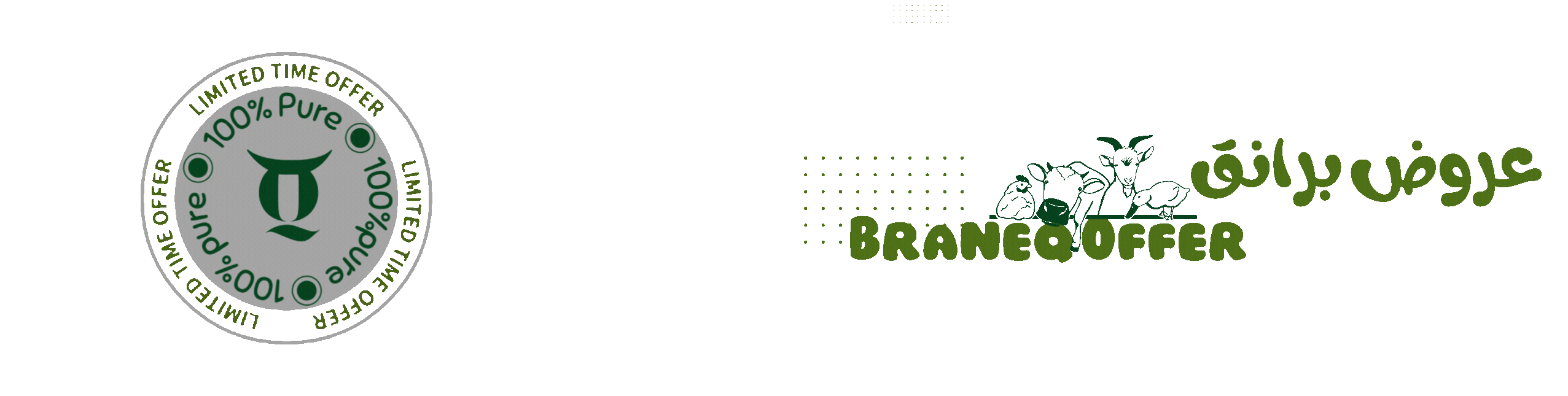 banner image for braneq store