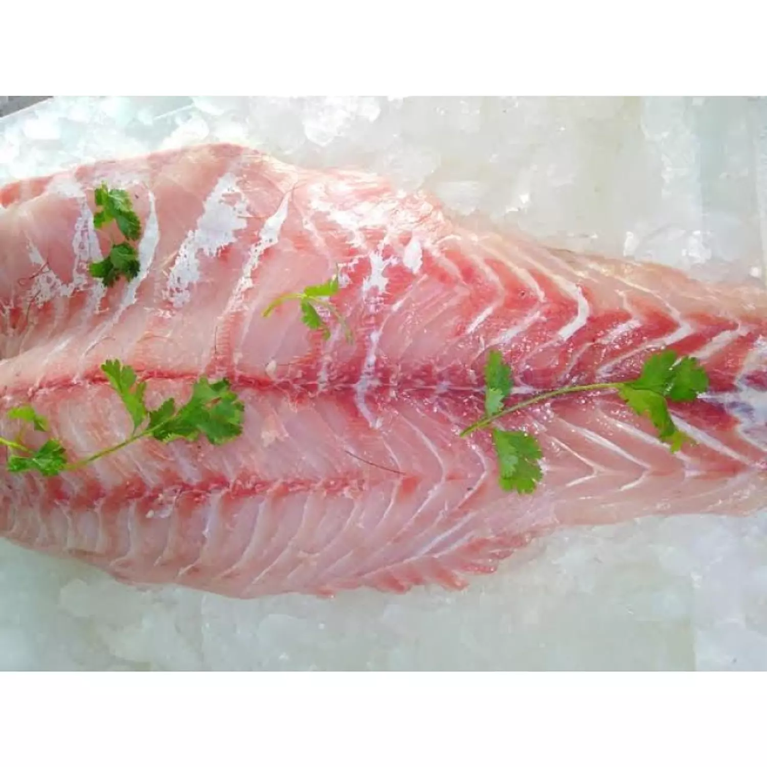 White Fish Fillet / فيليه قشر بياض image