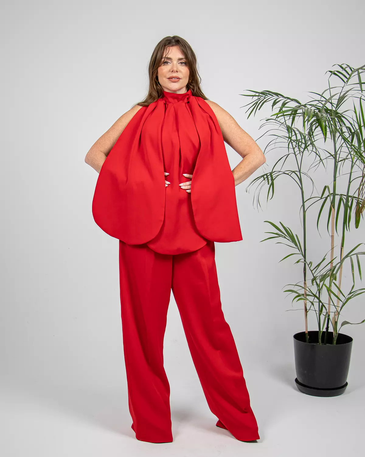Red Camellia  image