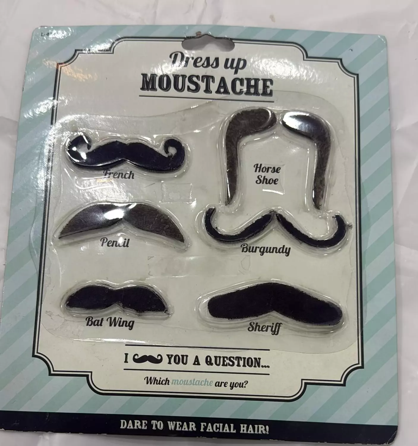 dress up moustache image