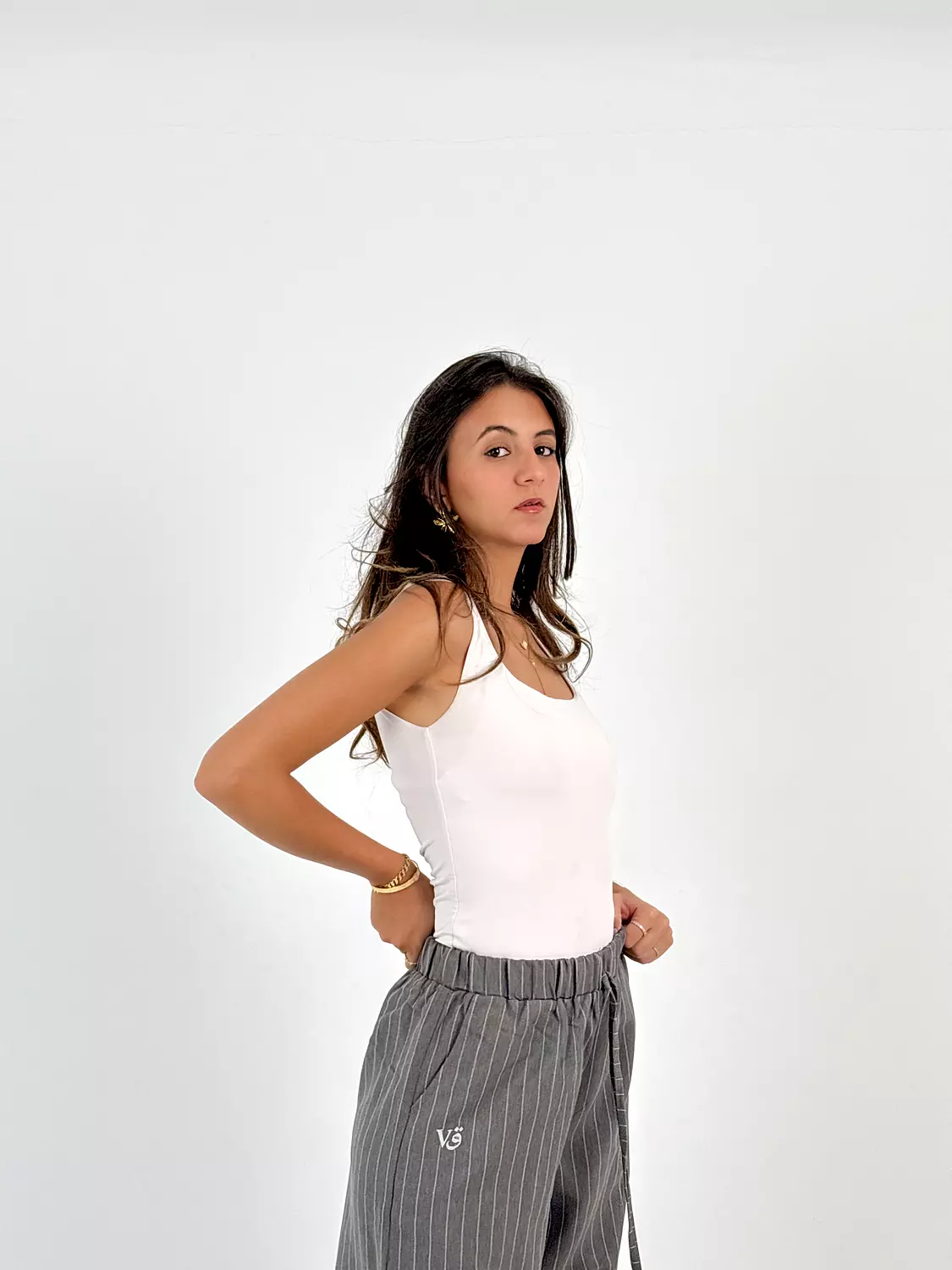 Wide Leg Stripped Pants - Women 8