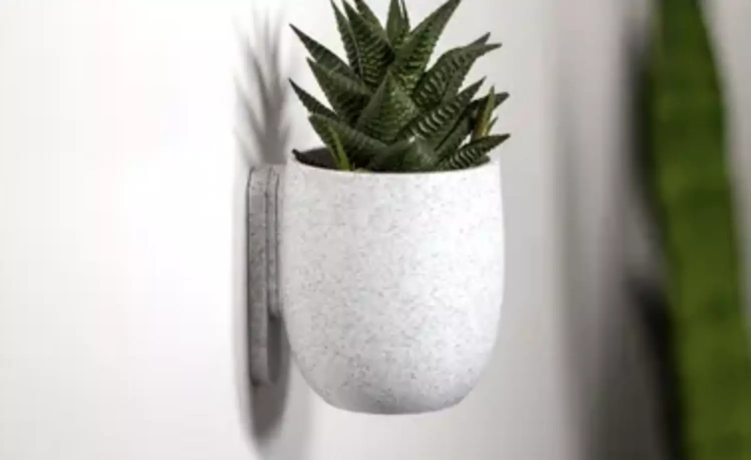 Simple Cup Planter image