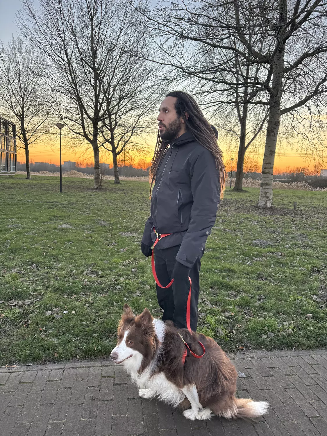 Essential Hands-free Leash 5