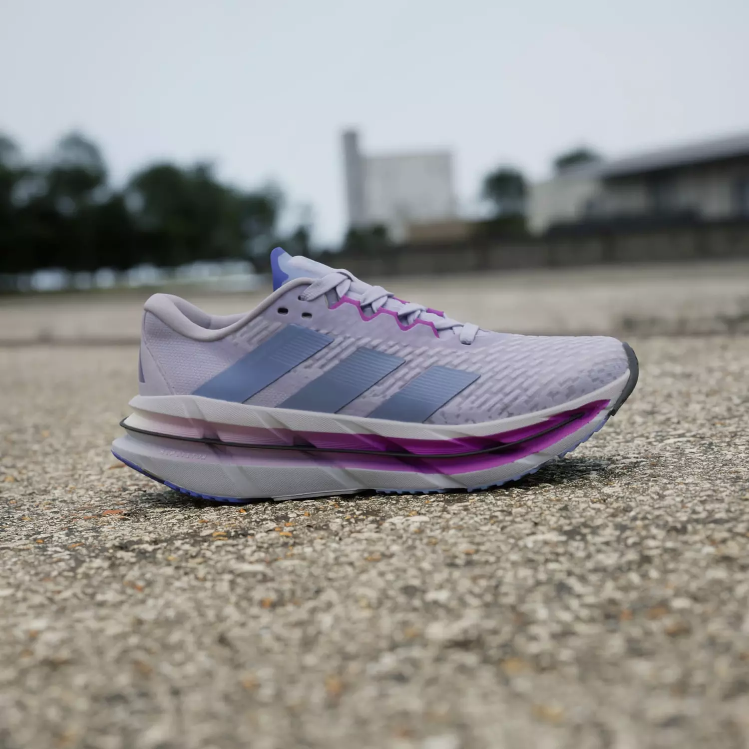 Adidas Adistar Byd Purple  4