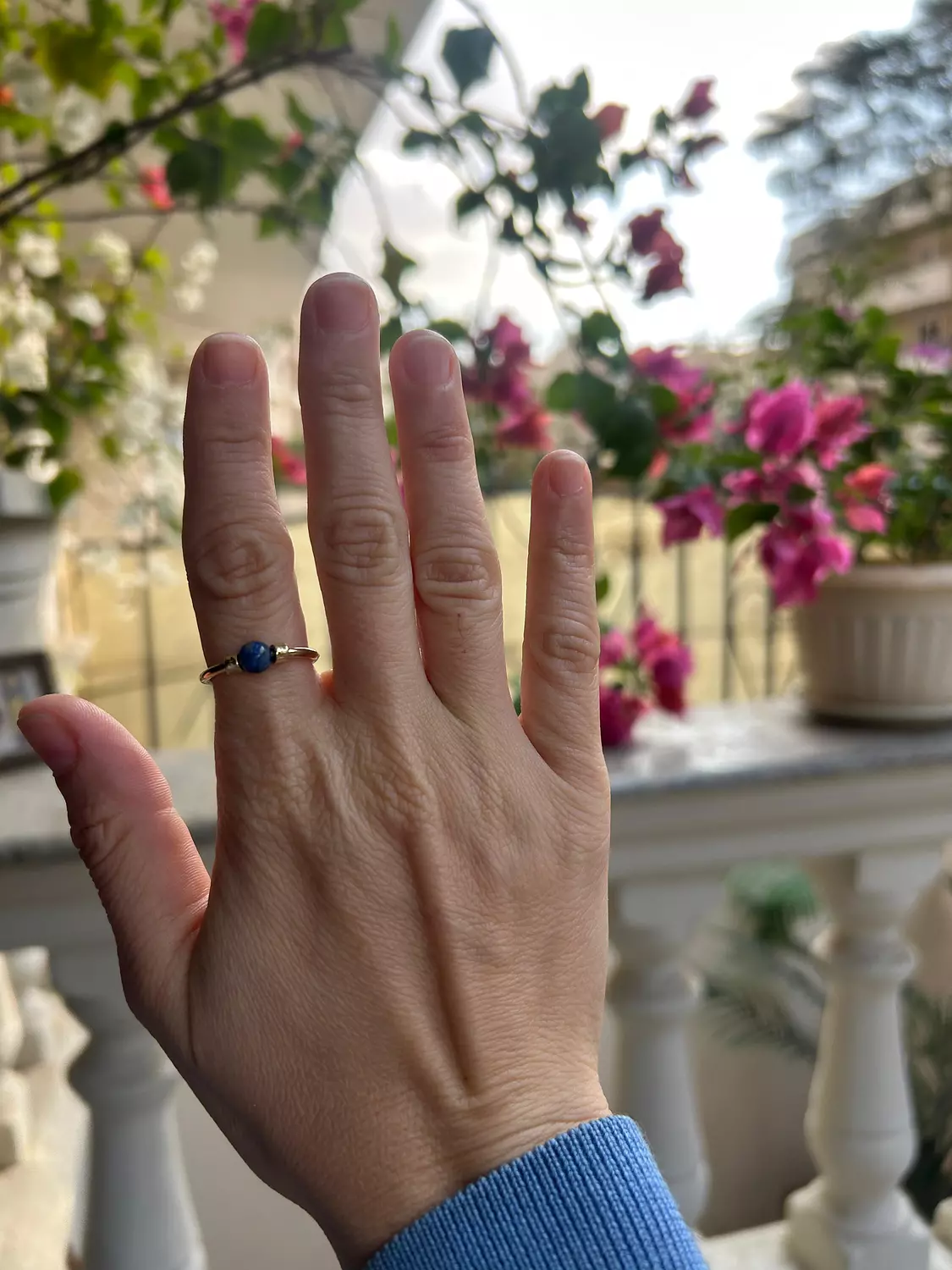 King Amenemope gold ring 2