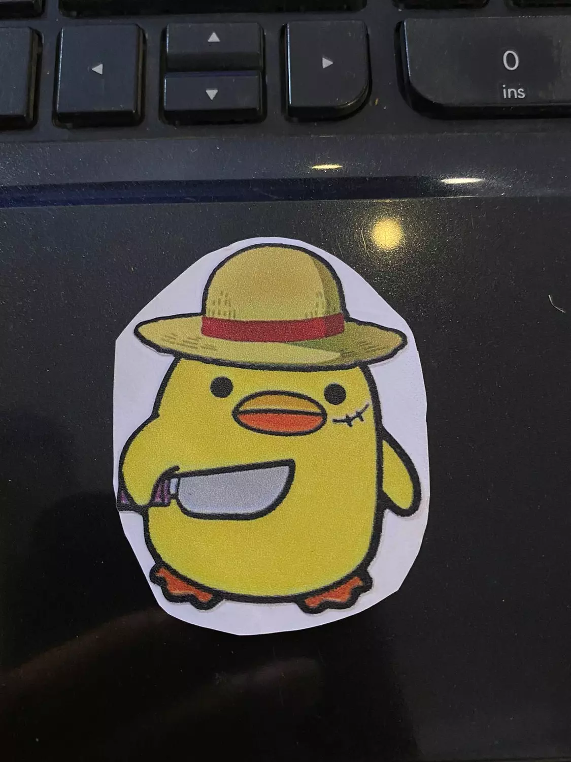 Fighter chick Sticker  image