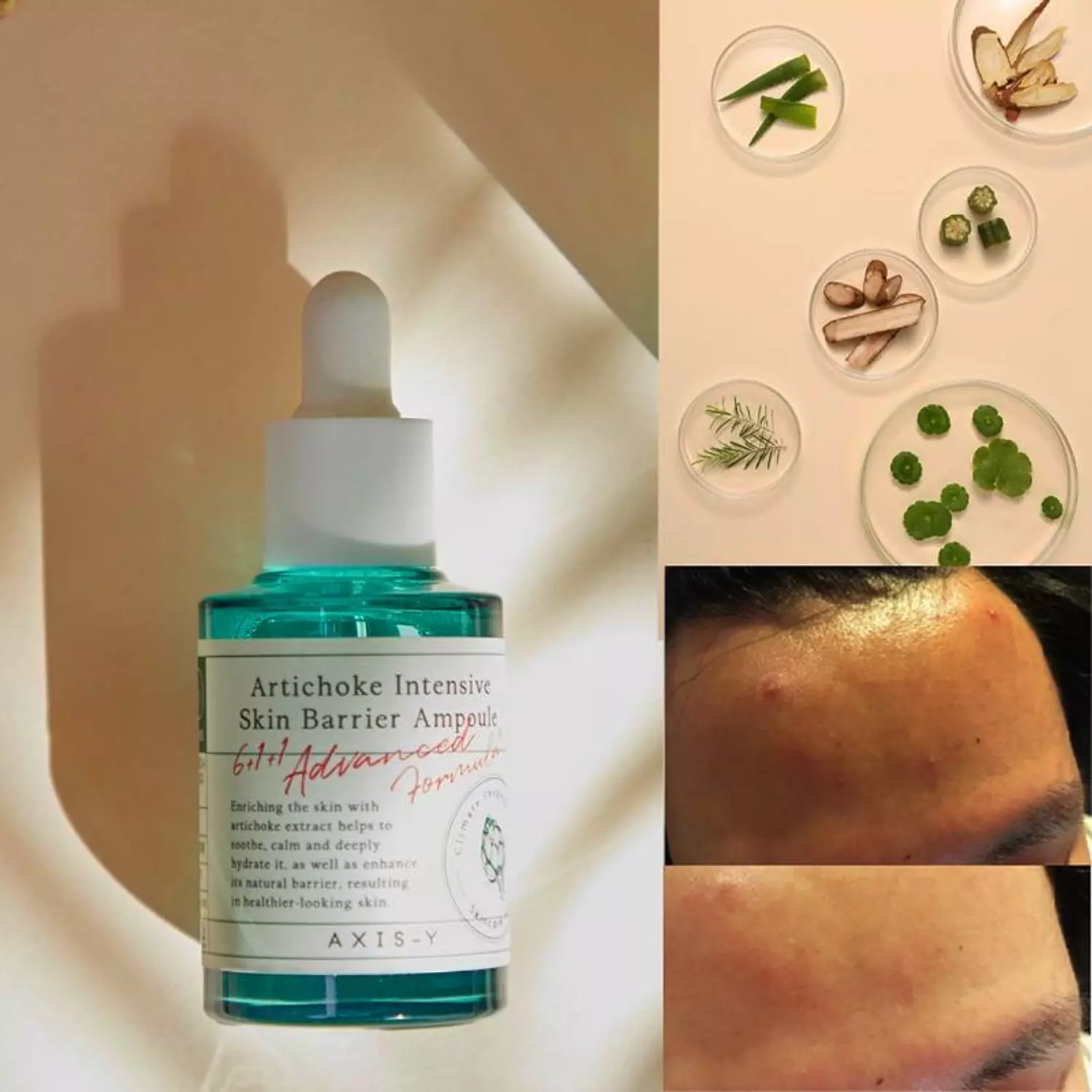 AXIS - Y - Artichoke Intensive Skin Barrier Ampoule image