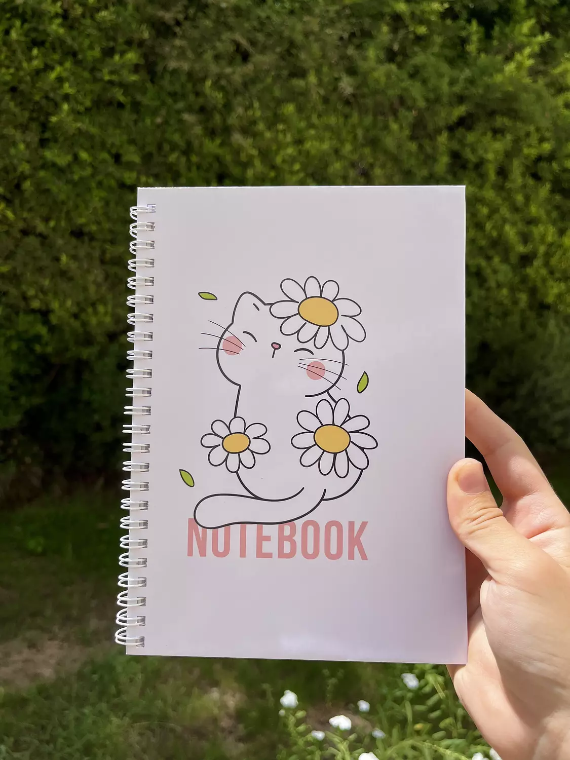The cat notebook 1