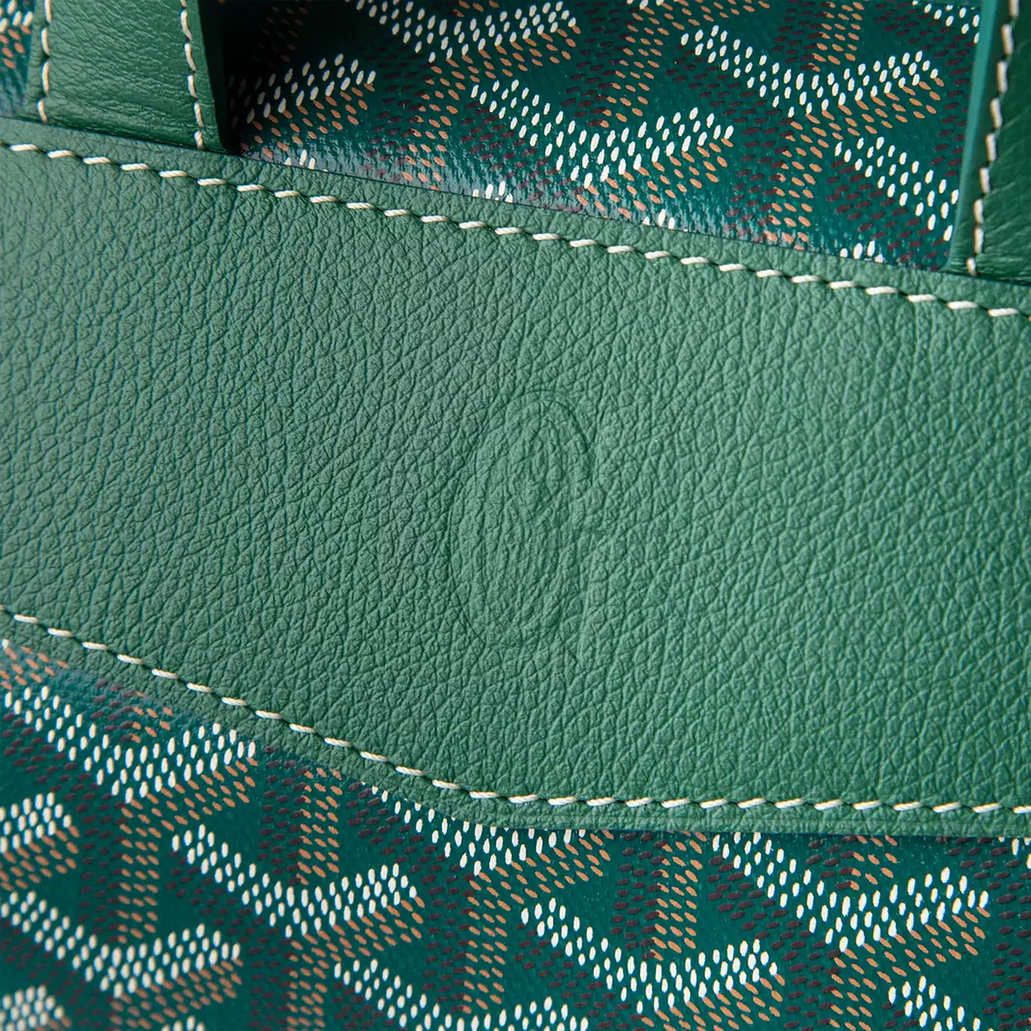 Goyard Cisalpin Green Backpack 4