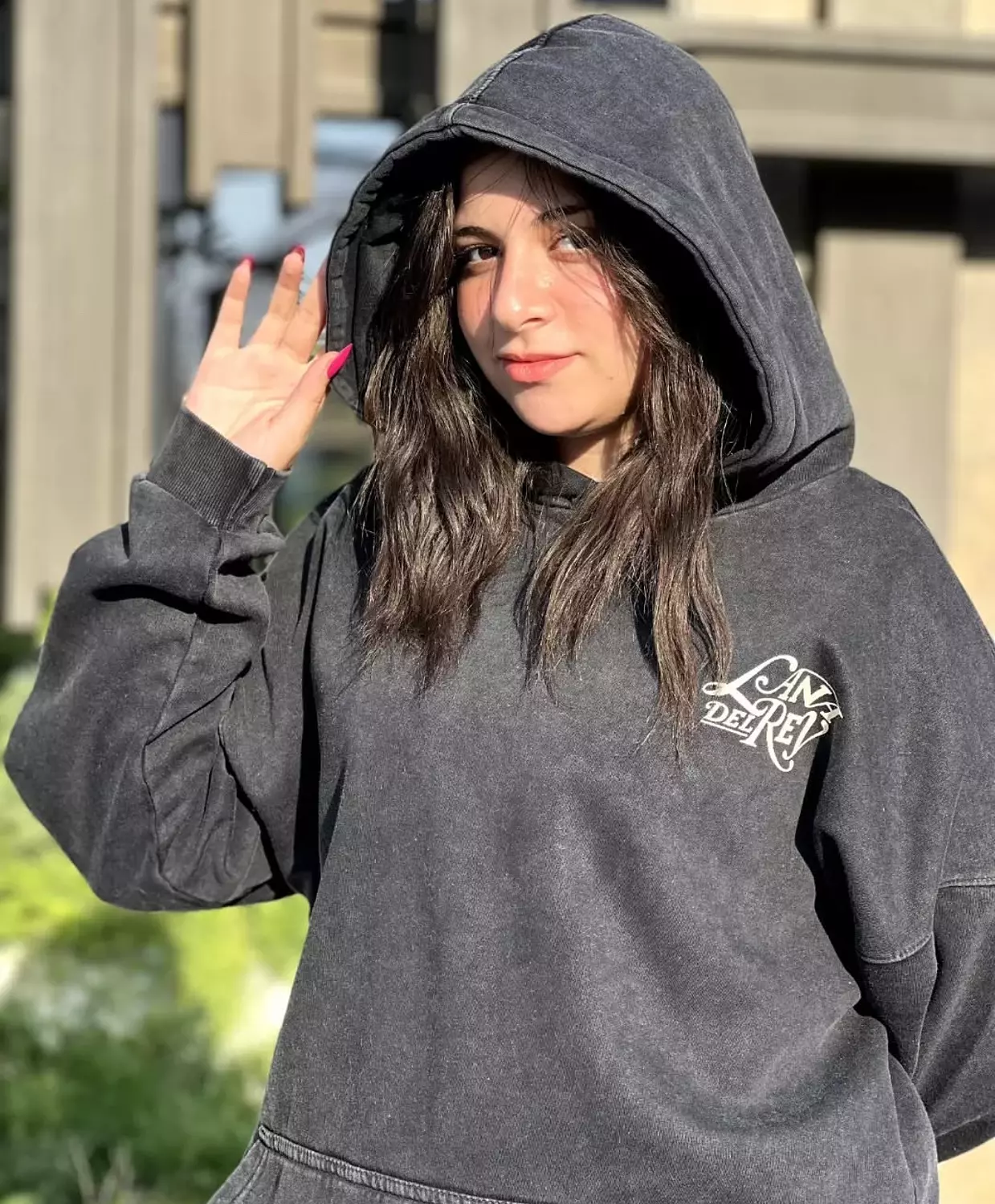 Lana Del Rey Hoodie 2