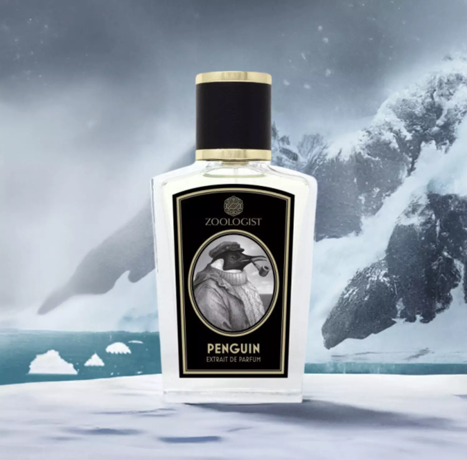 zoologist penguin  1