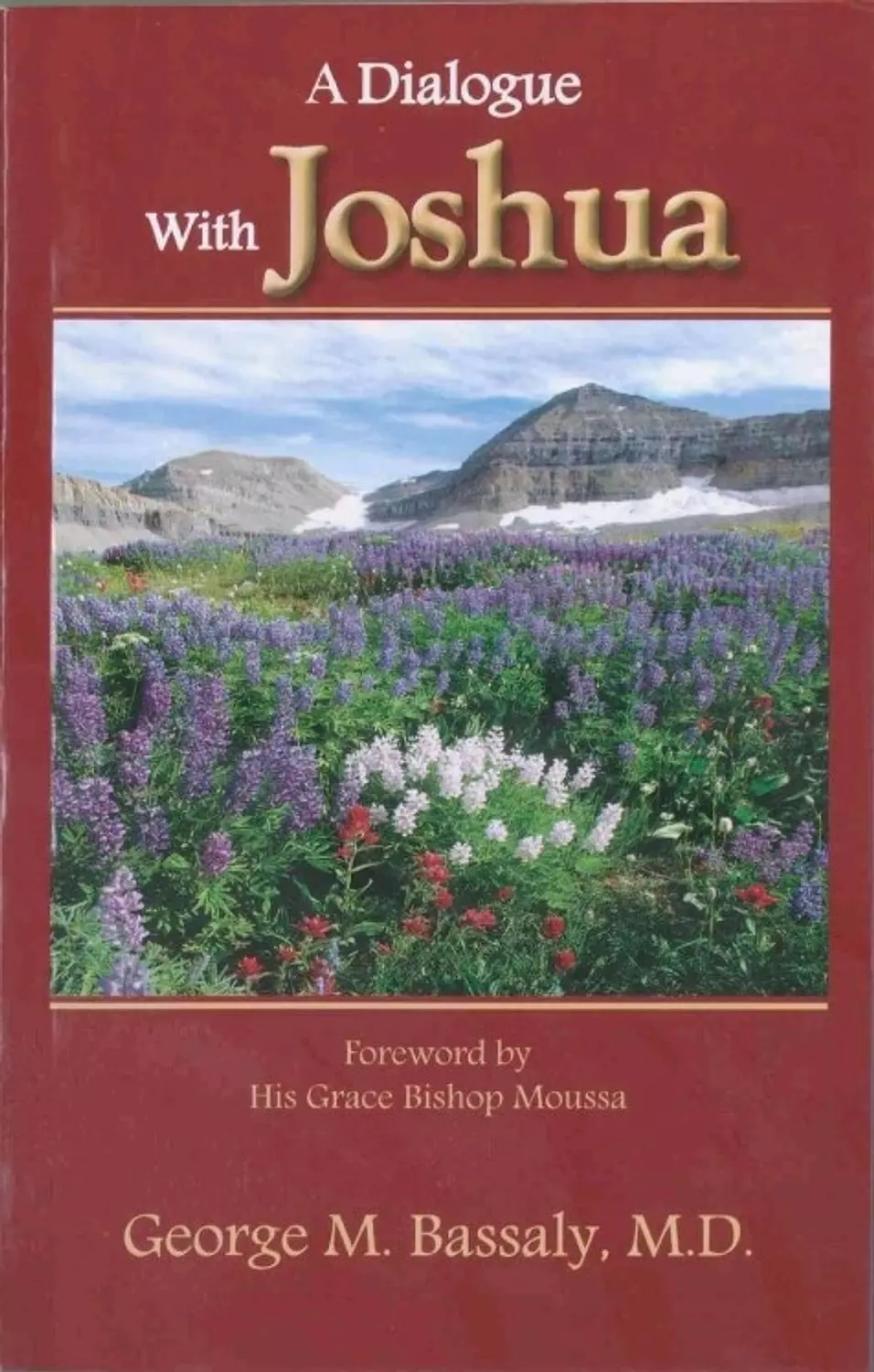 A Dialogue With Joshua image