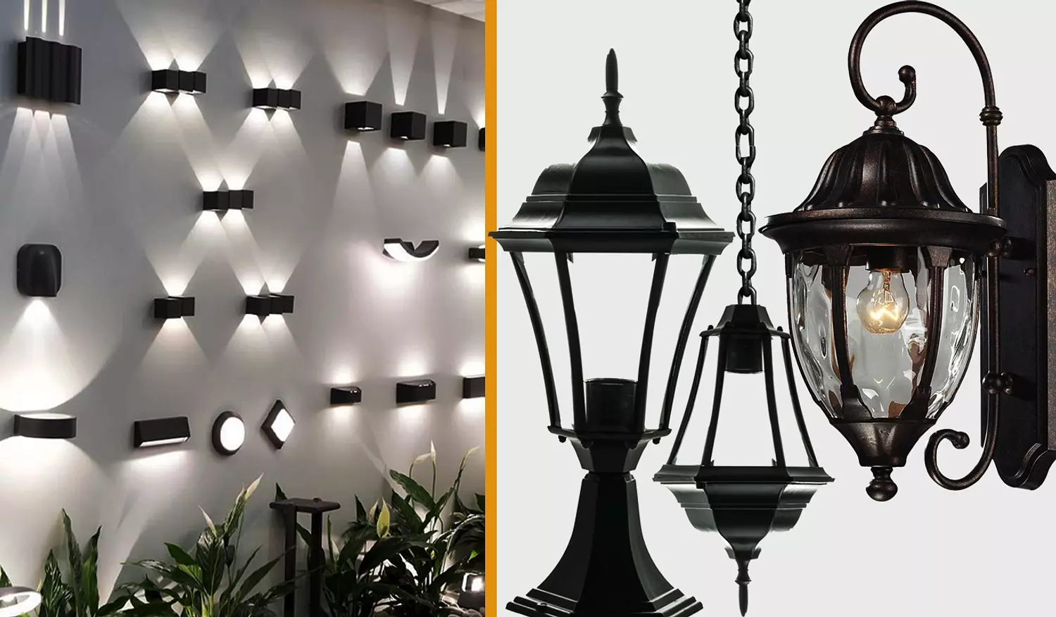 banner image for the lights and co