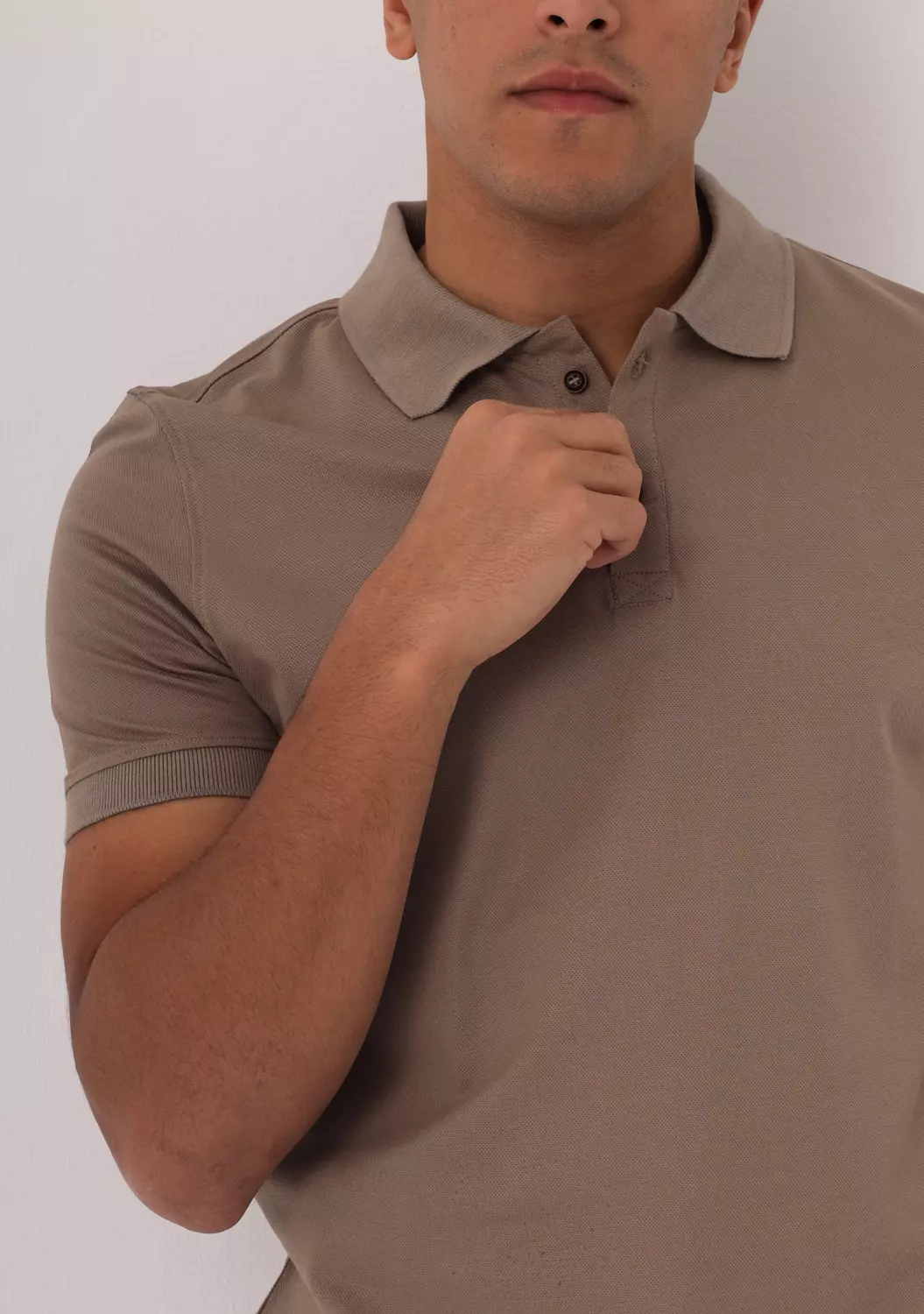 Brownish Beige Polo Shirt hover image
