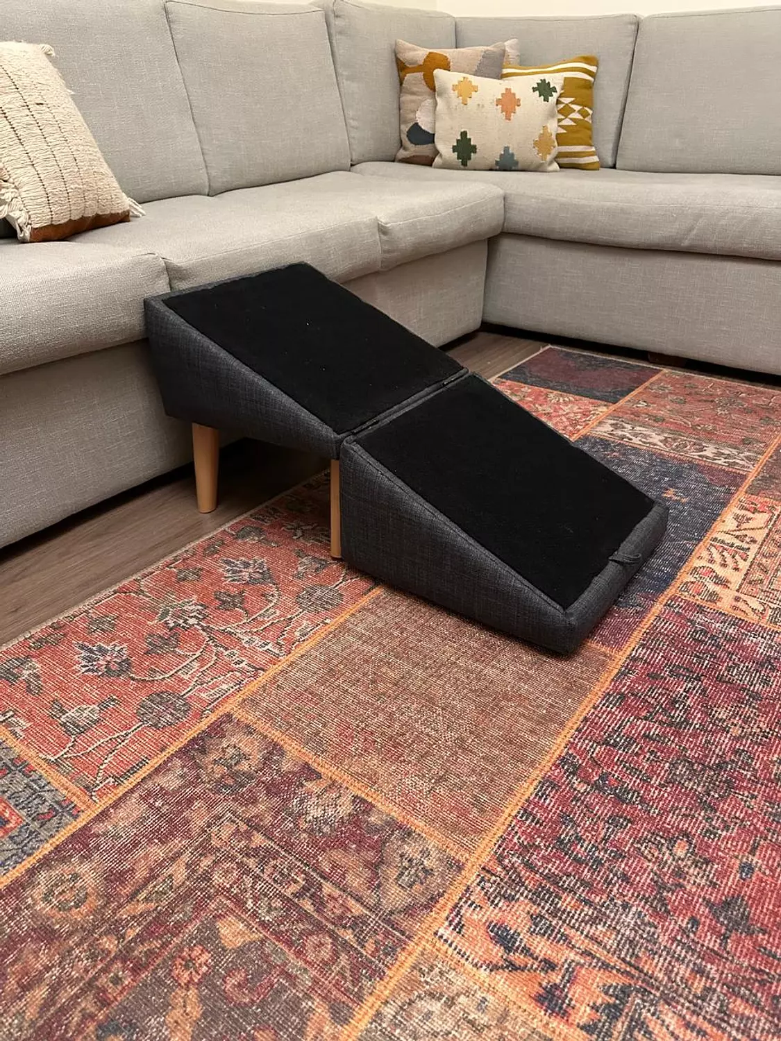 Ottopaw ramp image