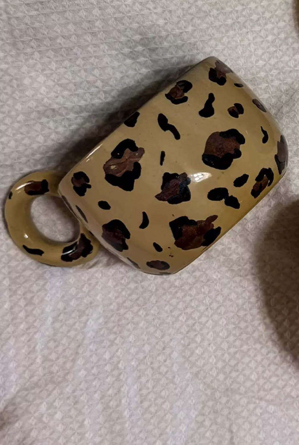 leopard  1