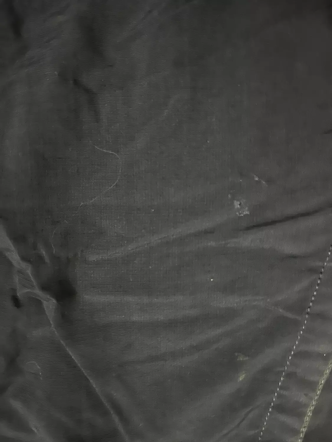 The north face short 3