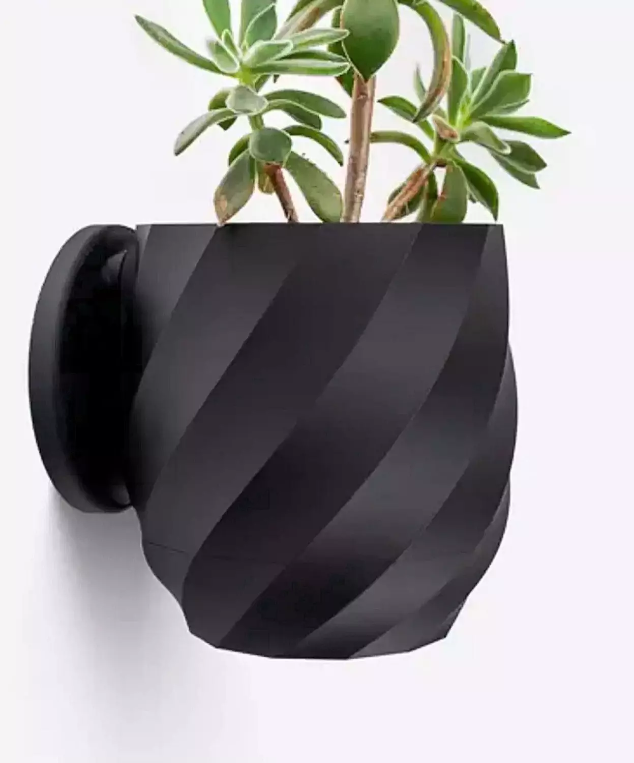 Twisted Planter by Pots  image