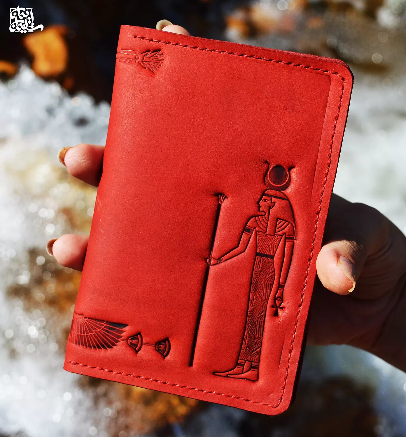 Passport Cover 1