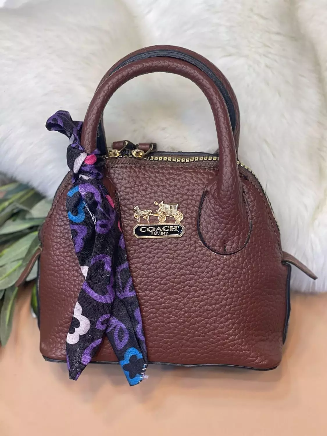 Mini COACH Bag 2