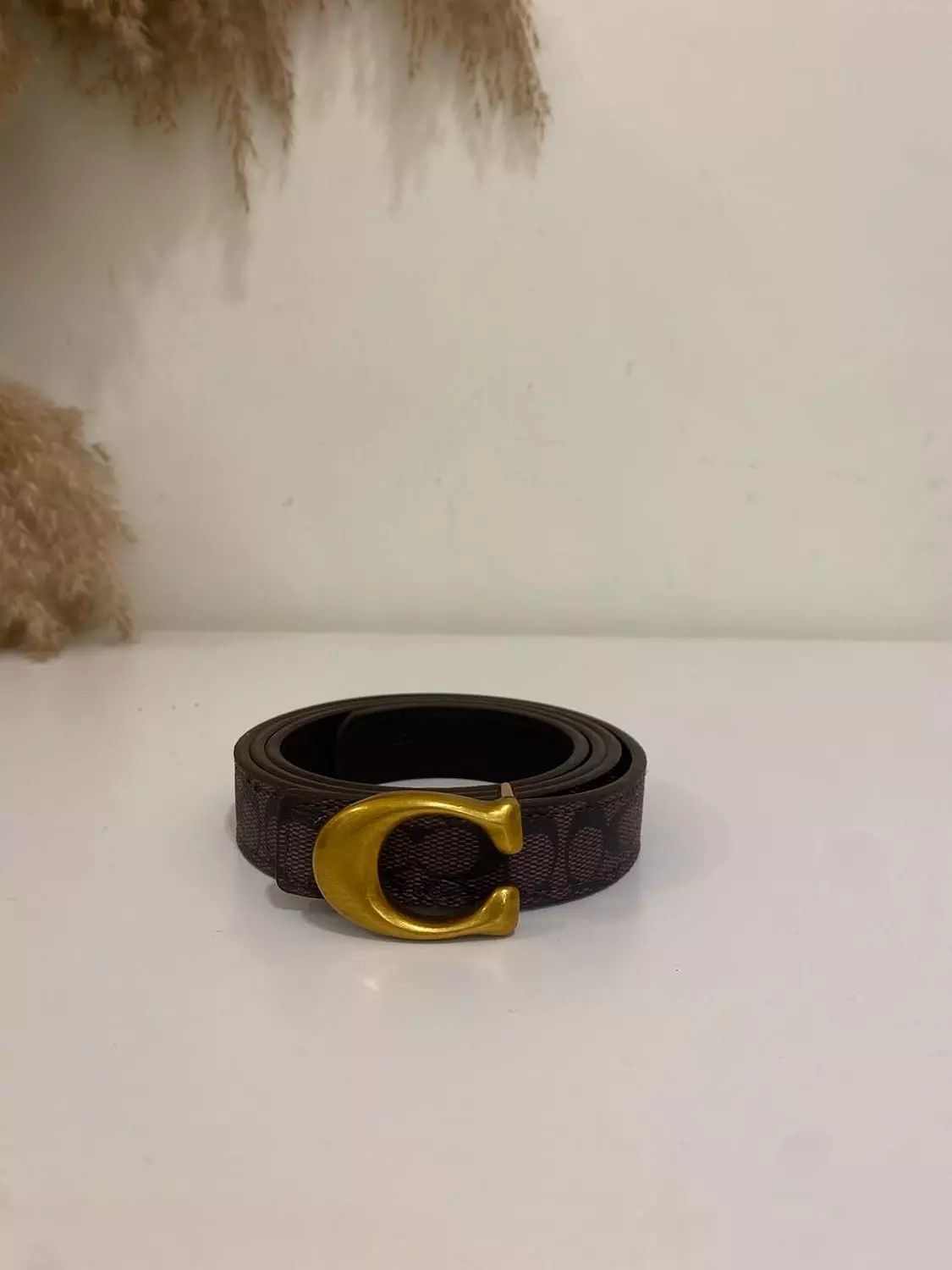 Coach belt  image