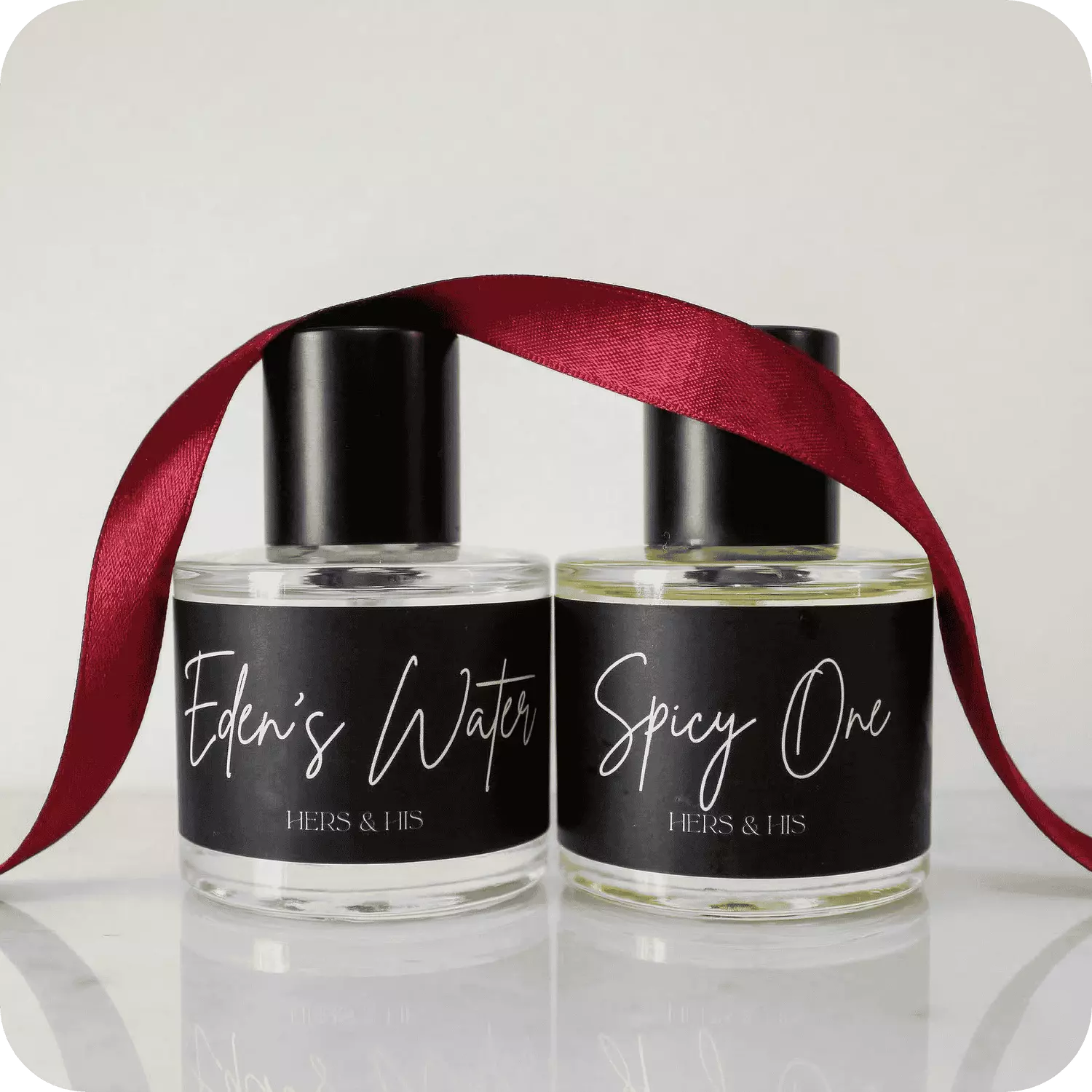 The Iconic Bundle  image