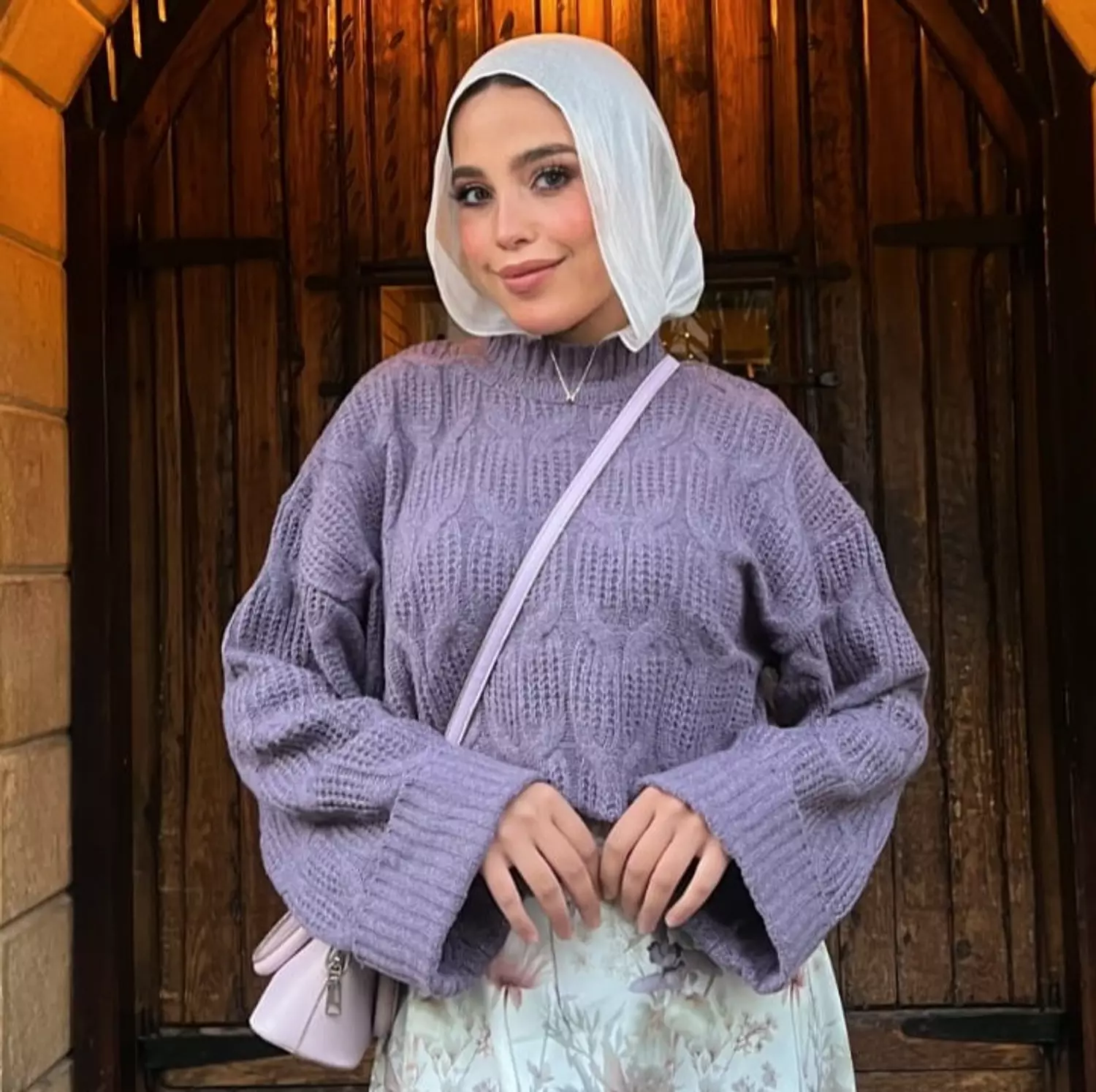 pullover wintery  image