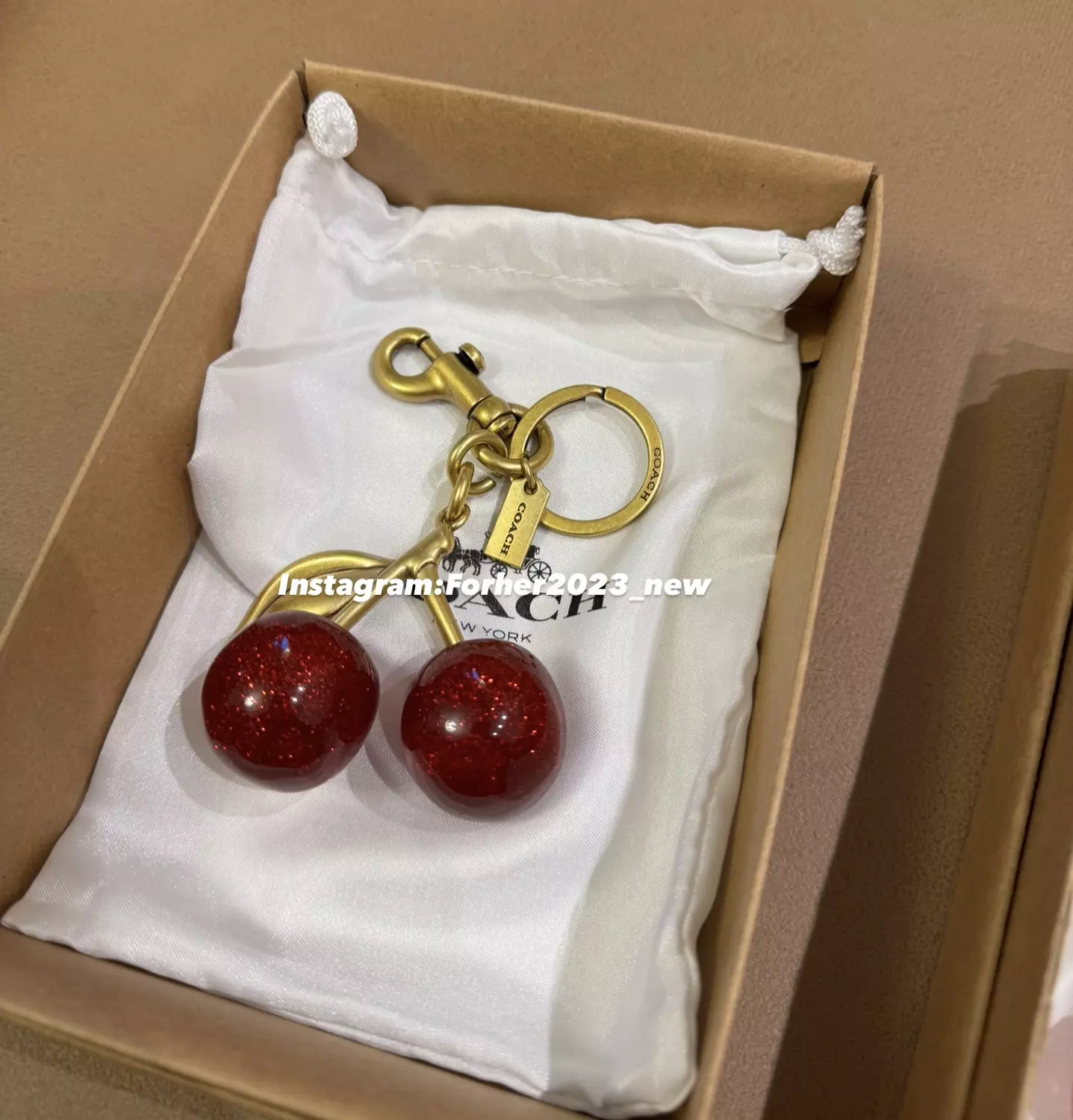 Coach Bag Cherry Charm 3