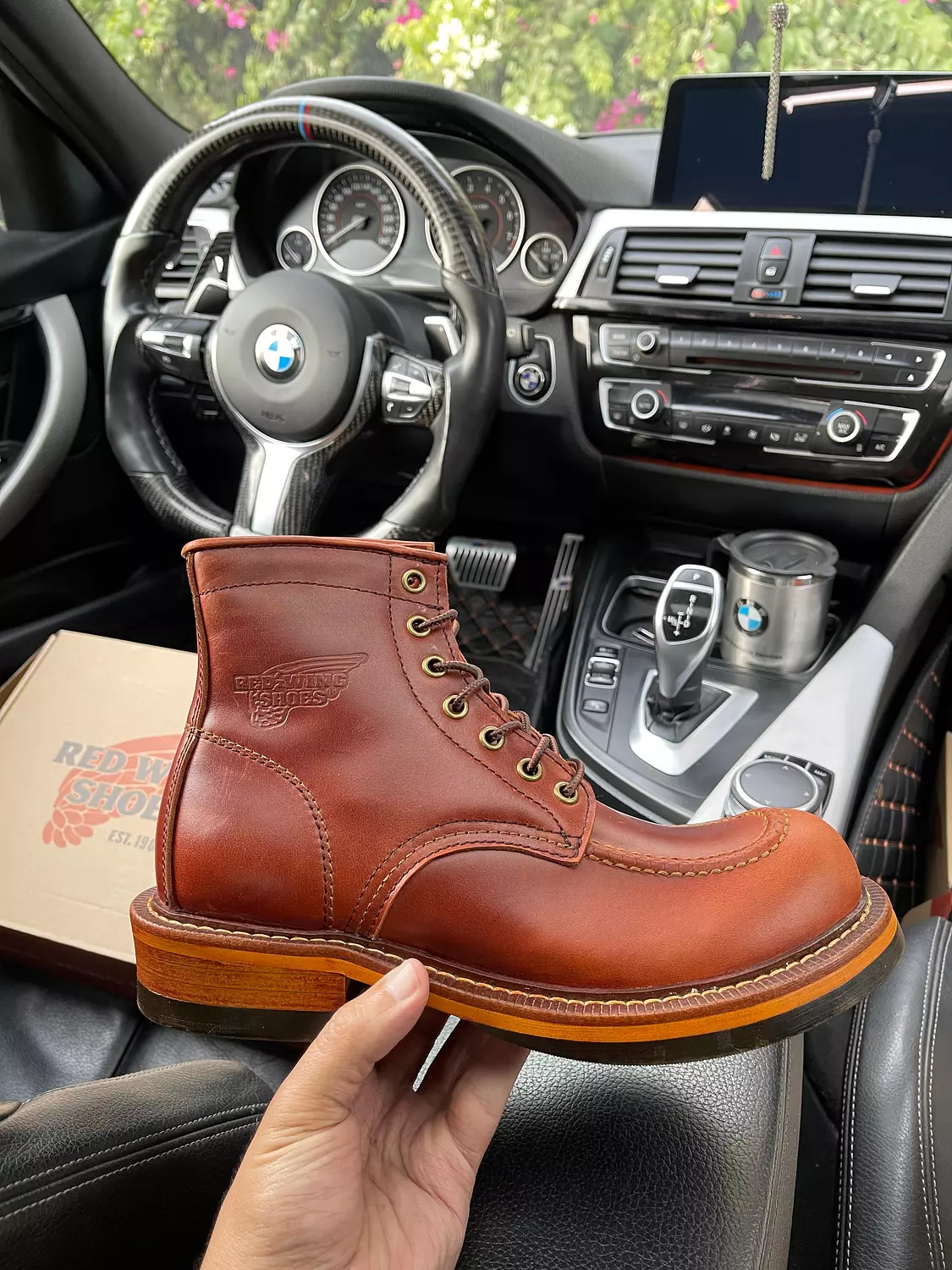 Red wing  image