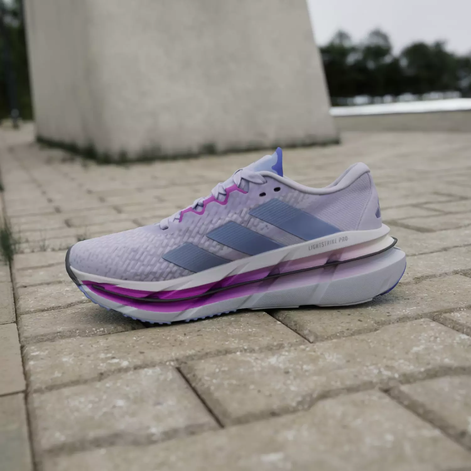 Adidas Adistar Byd Purple  8