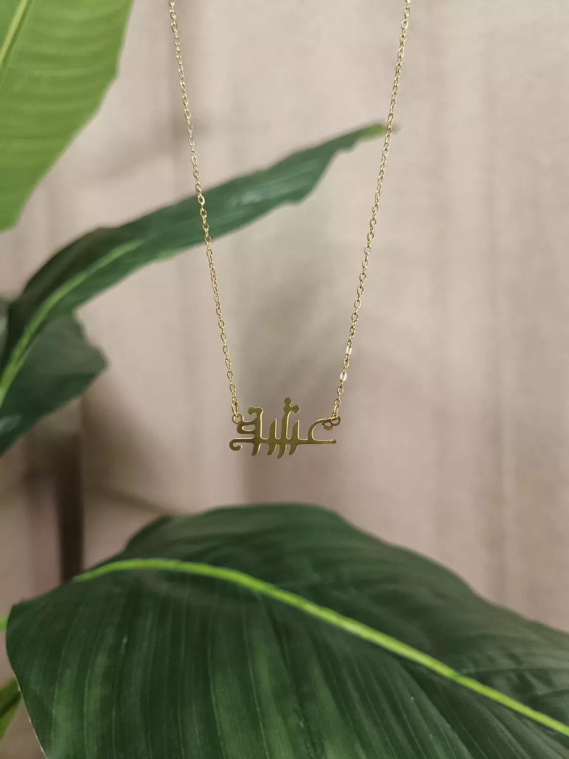 سلسلة عشق image