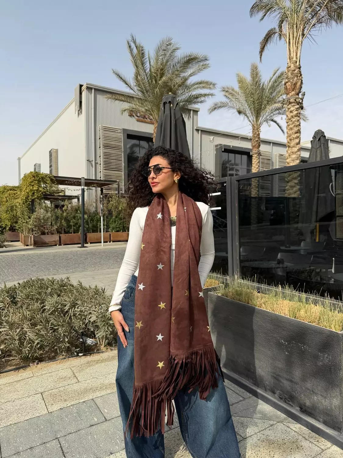 The stars scarf image