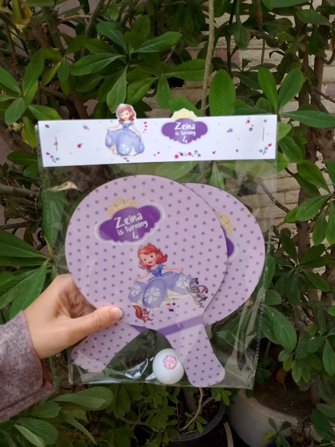 Princess Sofia Ping Pong 2