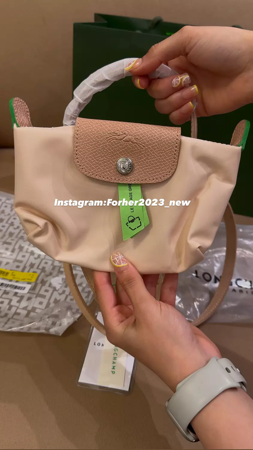 LE PLIAGE POUCH WITH TOP HANDLE 1