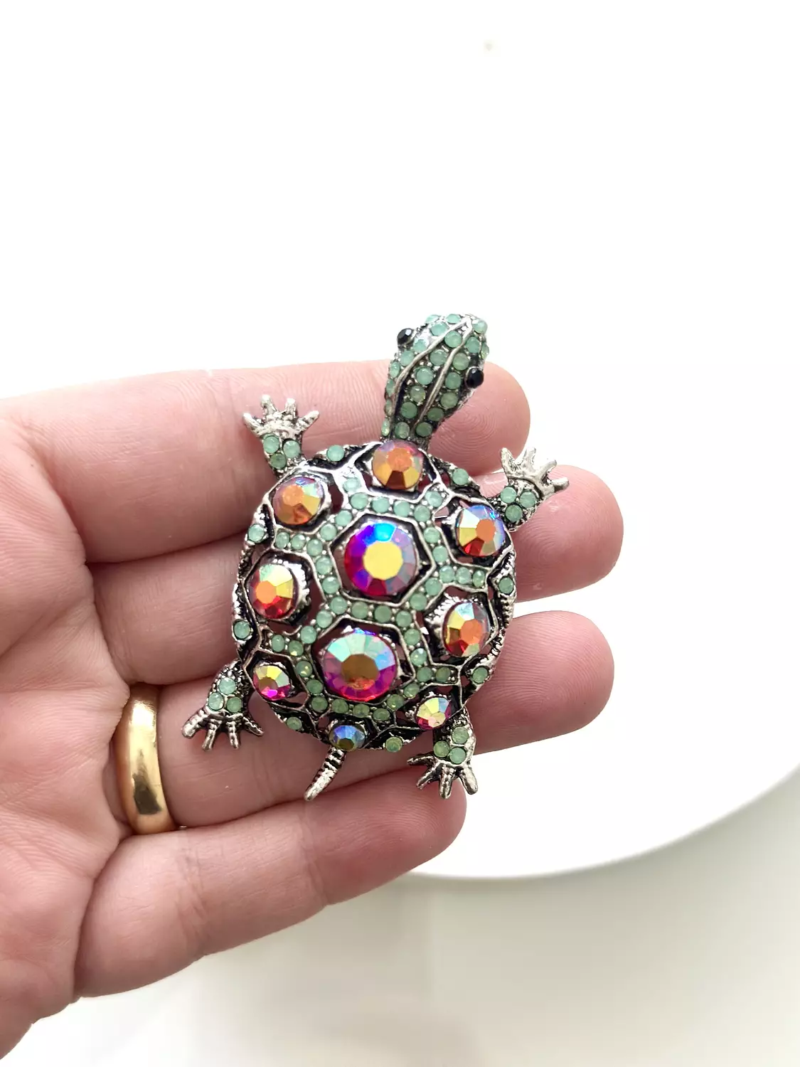 Geni turtle  1