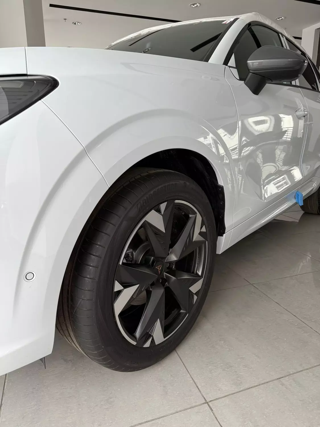 cupra terramar 9