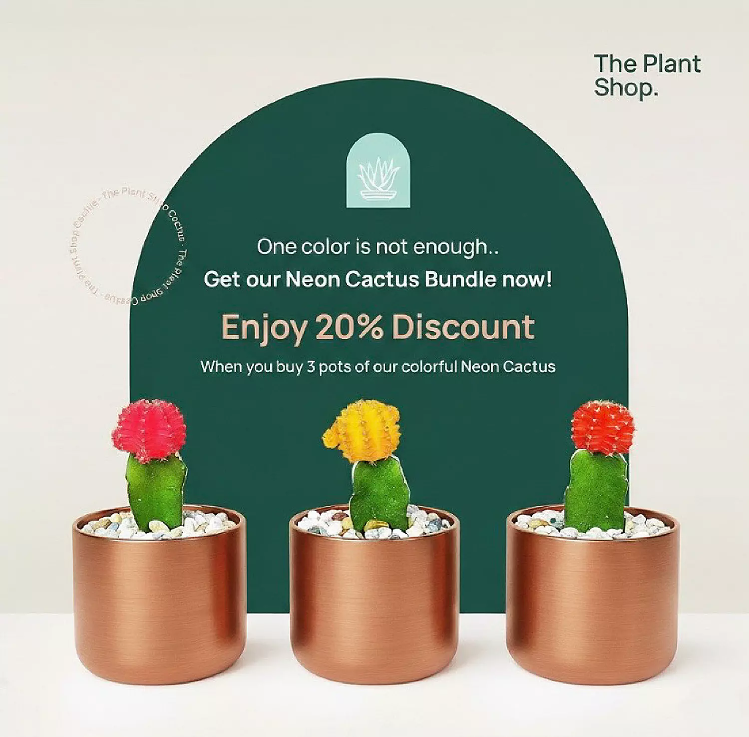 Bundle of 3 Neon Cactus image