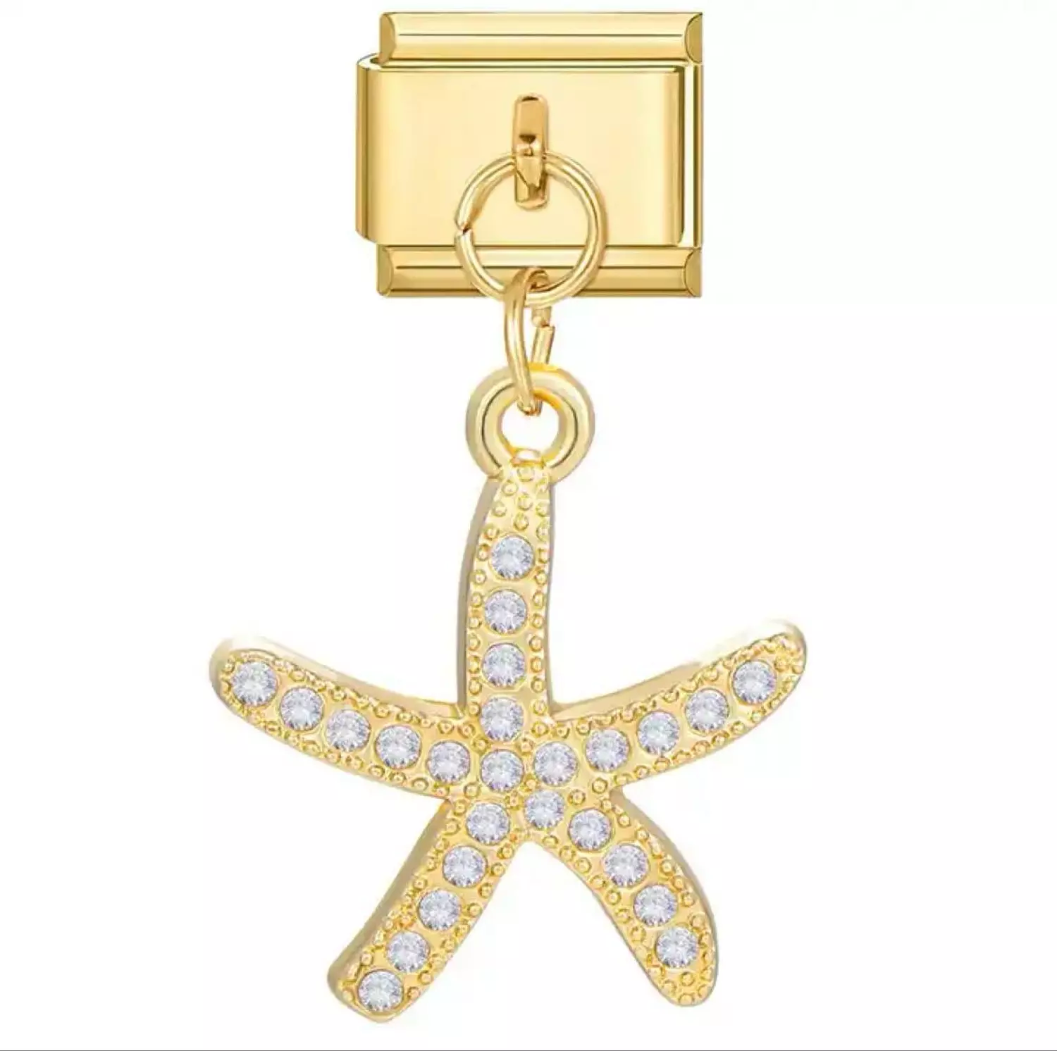 Sea star image