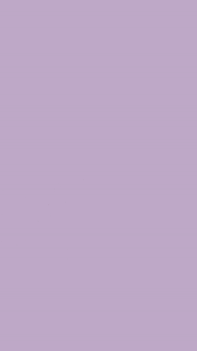 banner image for south ocean studios