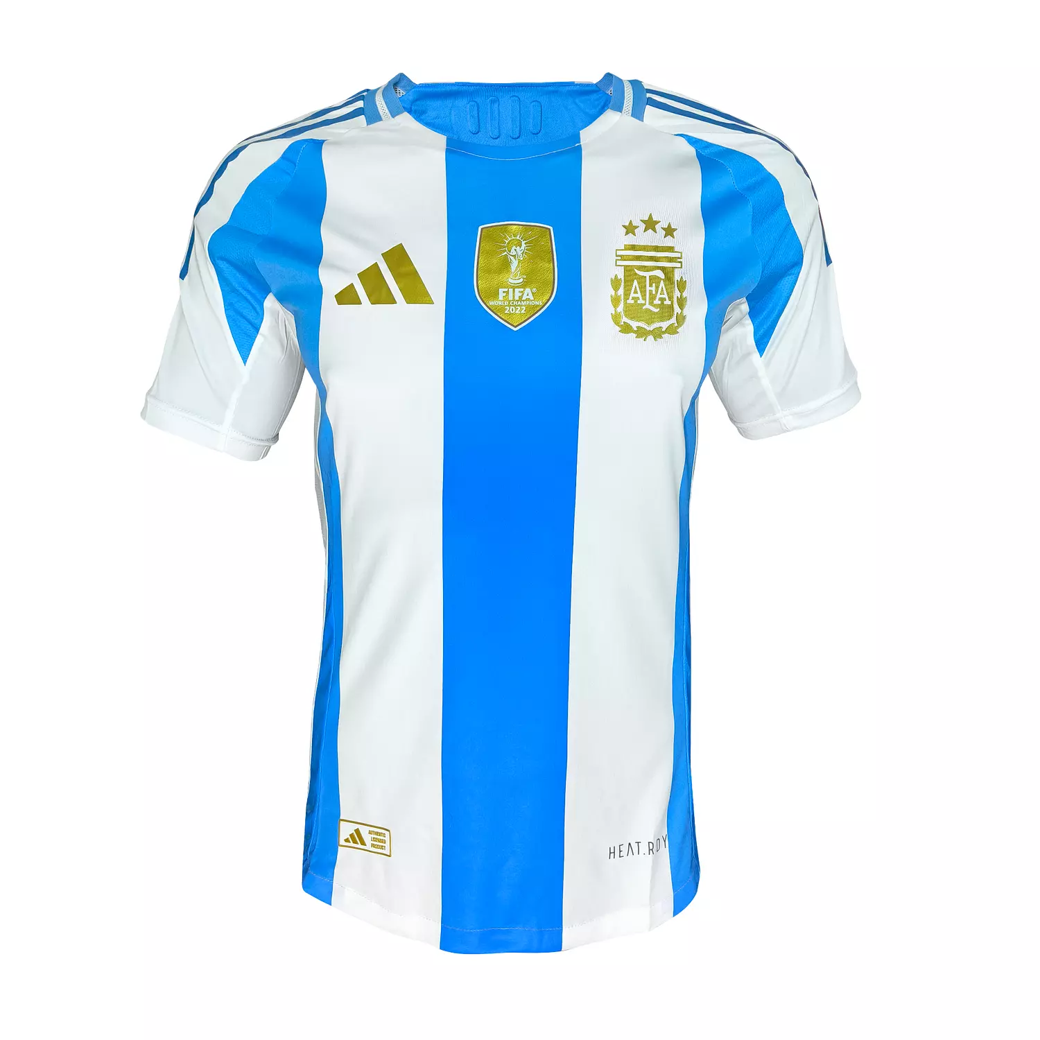 ARGENTINA COPA 24 PLAYER - NATIONAL  image