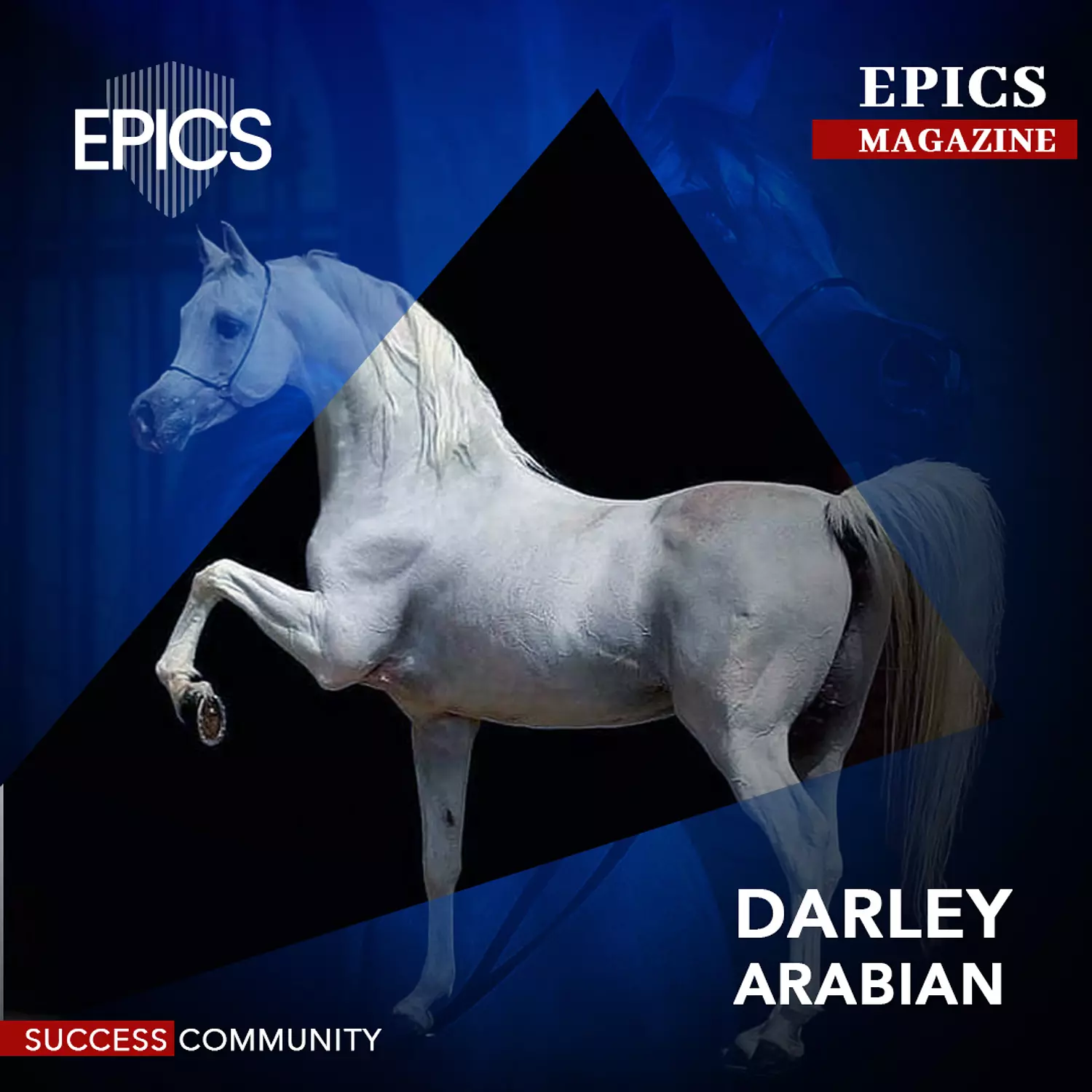 🎖️🌐Darley Arabian: The Arabian Equestrian Legend That Changed the World. image