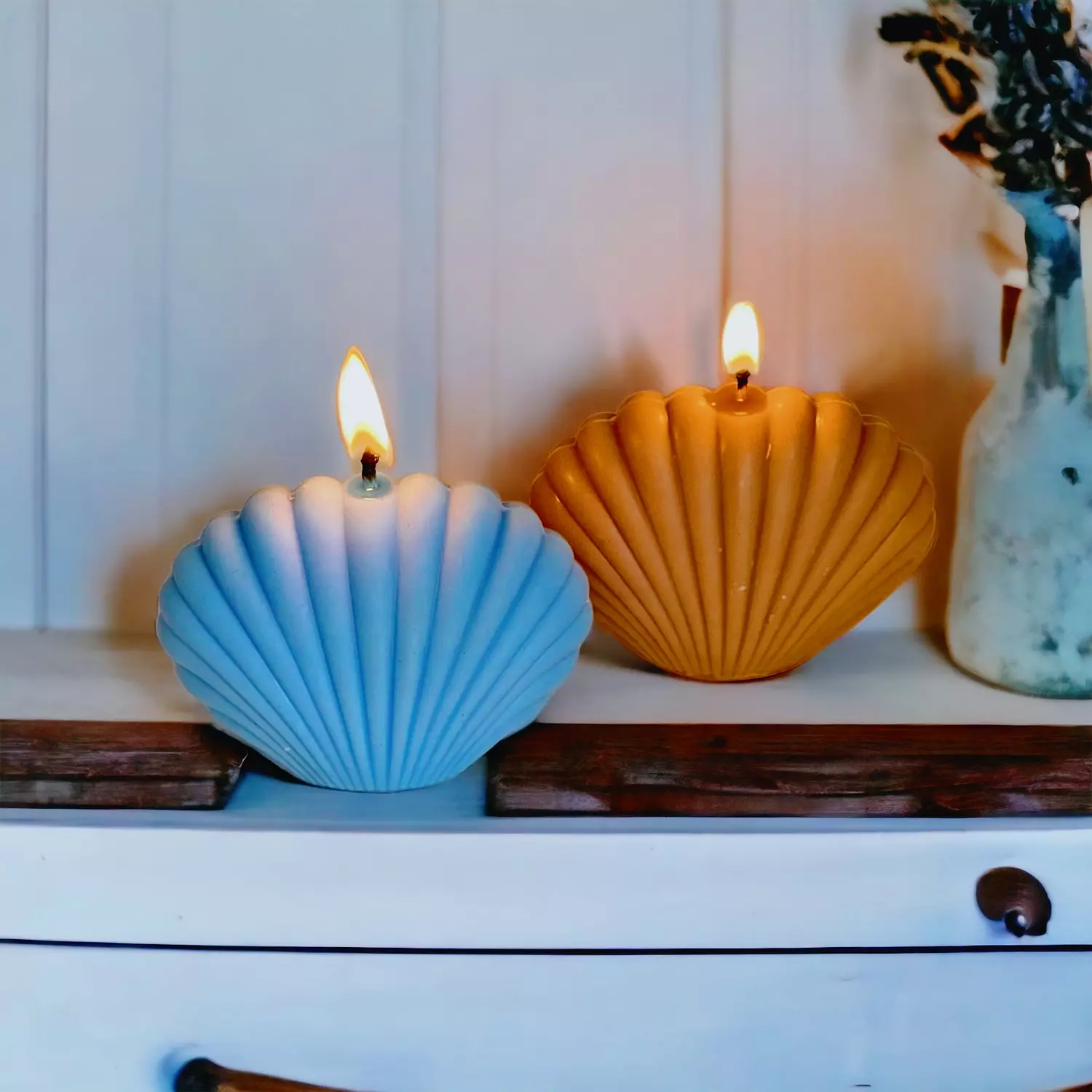 Seashell image
