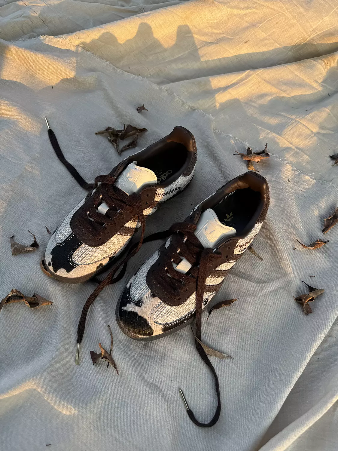 Adidas samba og cow print  image