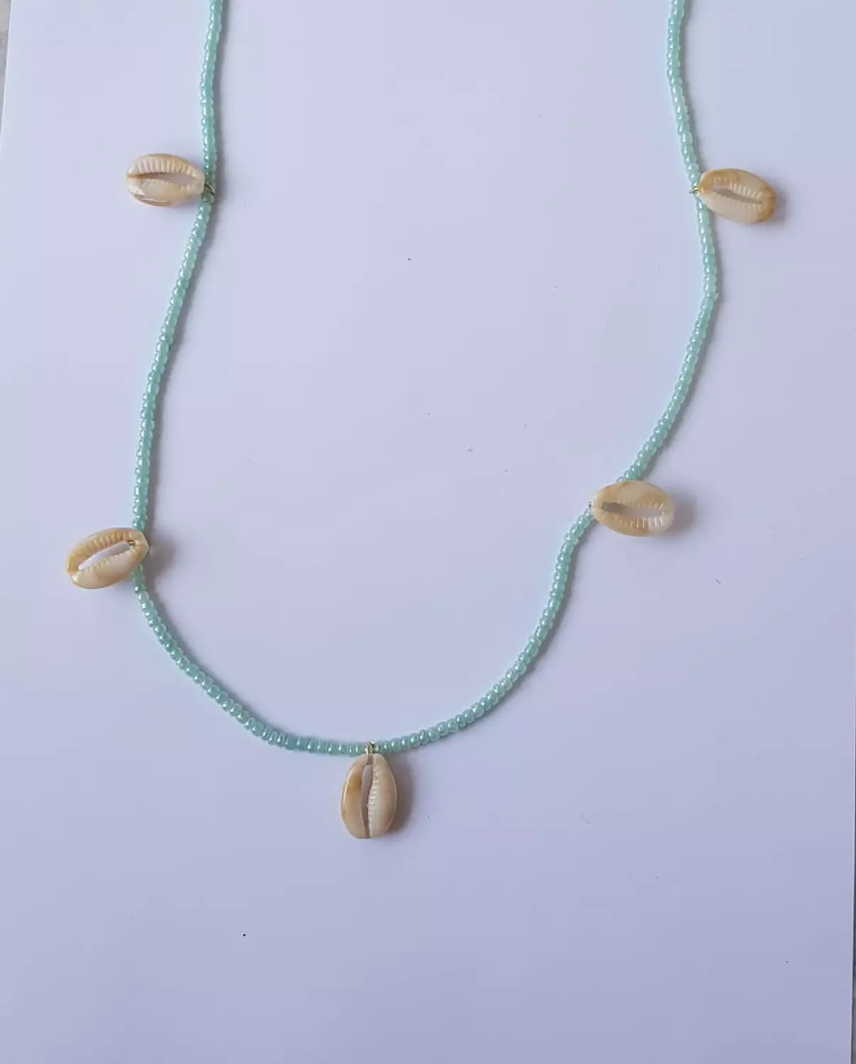 seashell t ch image