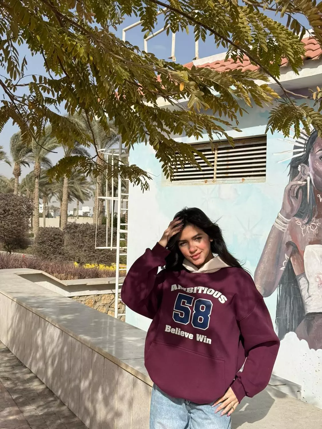 Oversized Hoodie(Mix Colour ) image