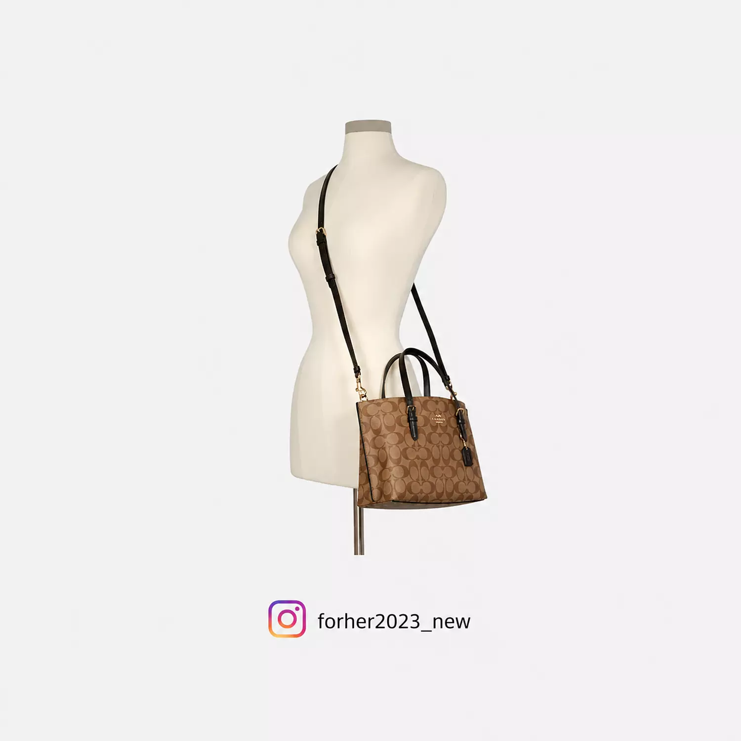 Coach Mollie Tote Bag In Signature Canvas 2