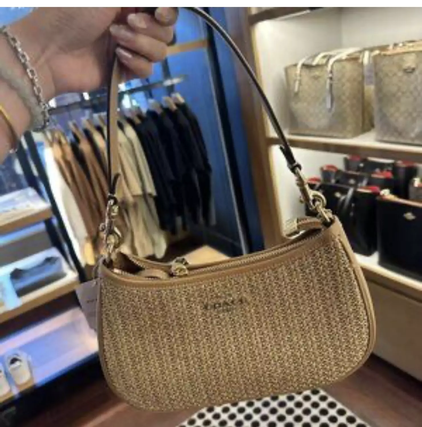 Coach Teri Straw bag 2