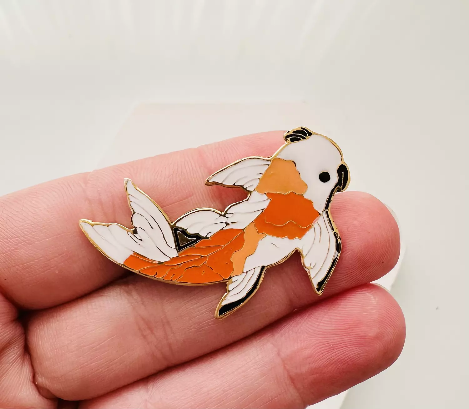 O fish  image