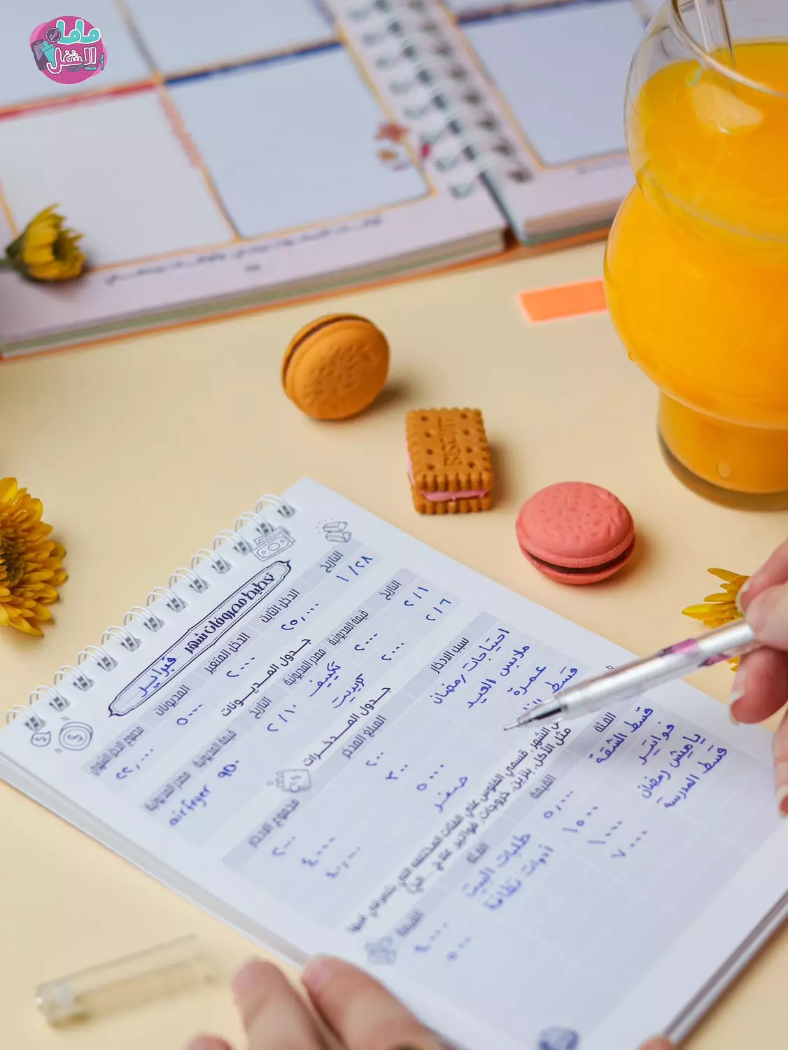 جورنال المصروفات 12